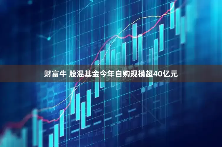 财富牛 股混基金今年自购规模超40亿元