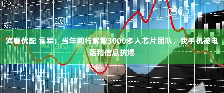 海顺优配 雷军：当年同行解散3000多人芯片团队，我手机被电话和信息挤爆